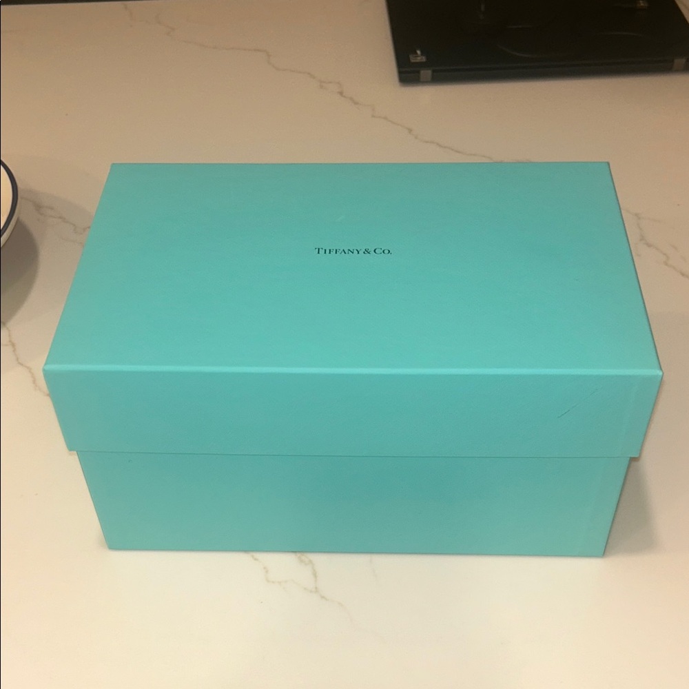 Tiffany & Co. Turquoise Gift Box